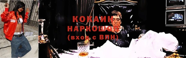 молекула духа Белокуриха