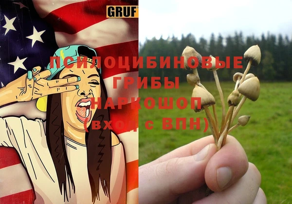 гашик Белоозёрский