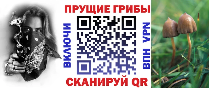 Псилоцибиновые грибы прущие грибы  Полтавская 